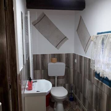Фото номера Таунхаус с 3 спальнями Проживание в семье Casuta Bunicilor г. Breb 9