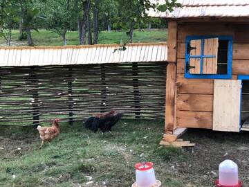 Фото номера Дом для отпуска Дома для отпуска Casa Păpădie - Poiana Creasta Cocoșului г. Breb 36