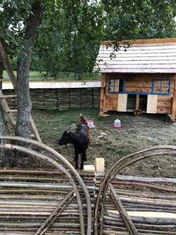 Фото номера Дом для отпуска Дома для отпуска Casa Mac - Poiana Creasta Cocoșului г. Breb 58