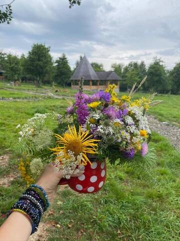 Фото номера Дом для отпуска Дома для отпуска Casa Mac - Poiana Creasta Cocoșului г. Breb 20