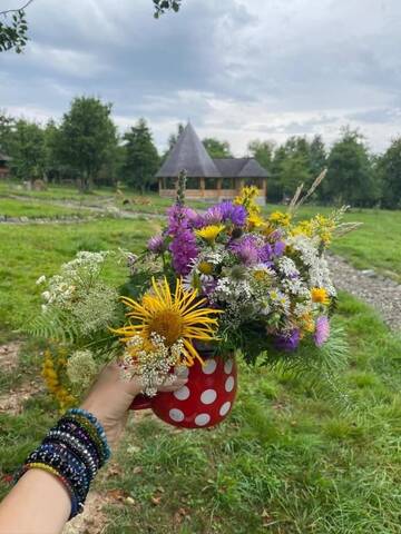 Фото номера Дом с 2 спальнями Дома для отпуска Casa Floare de Nu Mă Uita - Poiana Creasta Cocoșului г. Breb 150