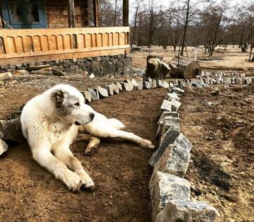Фото номера Дом с 2 спальнями Дома для отпуска Casa Floare de Nu Mă Uita - Poiana Creasta Cocoșului г. Breb 125