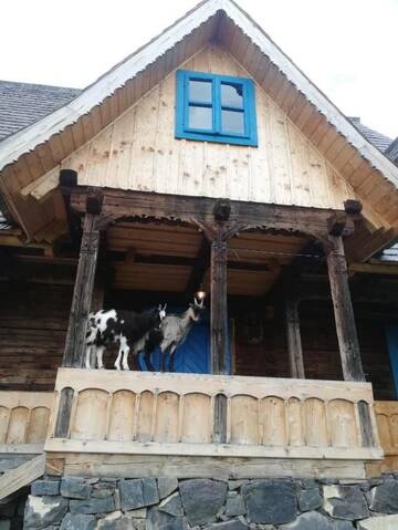 Фото номера Дом с 2 спальнями Дома для отпуска Casa Floare de Nu Mă Uita - Poiana Creasta Cocoșului г. Breb 140