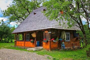 Фото номера Семейный люкс Гостевой дом Complex tradițional Casa din Vale г. Breb 2